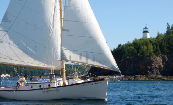 Bufflehead Sailing Charters
