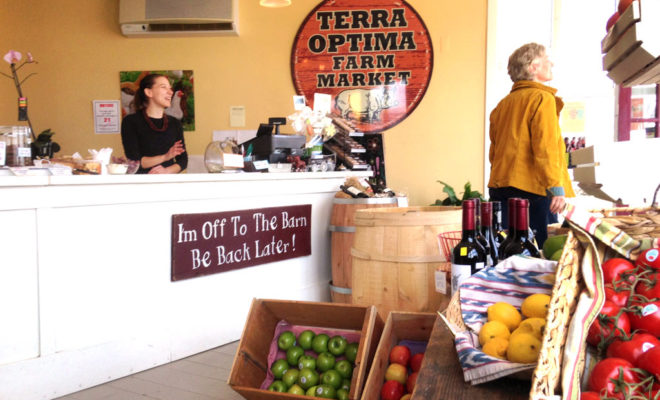 Terra Optima Farm Market