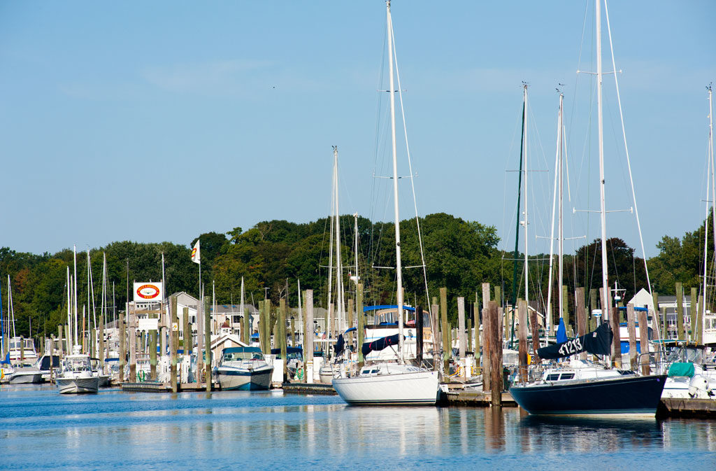 Brewer Bruce & Johnson's Marina