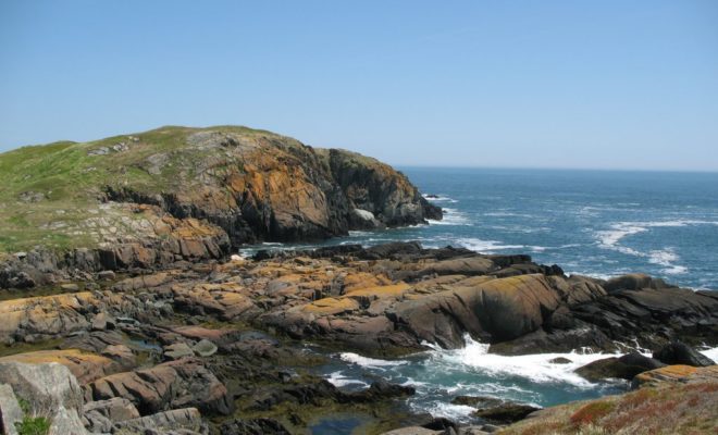 Friends of Maine's Seabird Islands