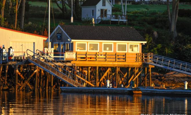 From the docks to the restaurant, everything at Handy Boat has been given an upgrade in preparation for the 2014 boating season.