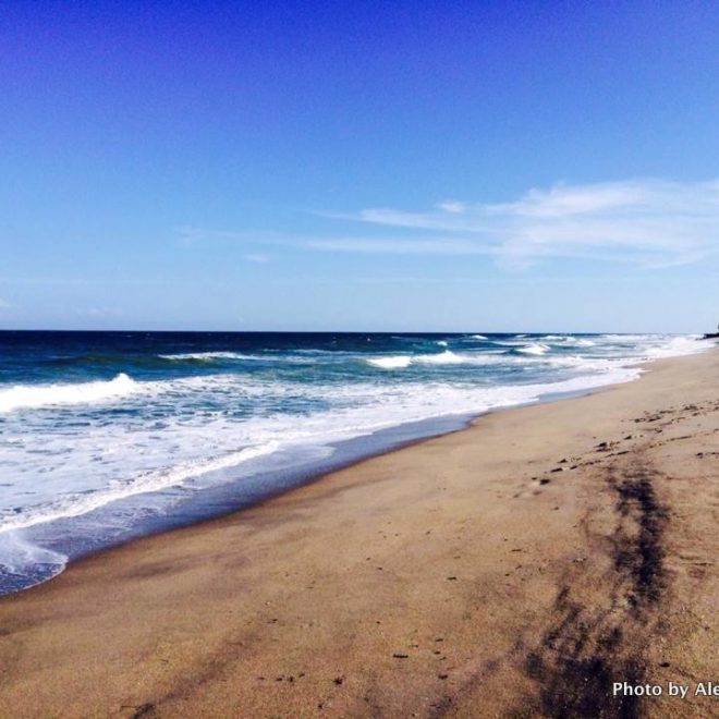The magnificent beach on Jupiter island.