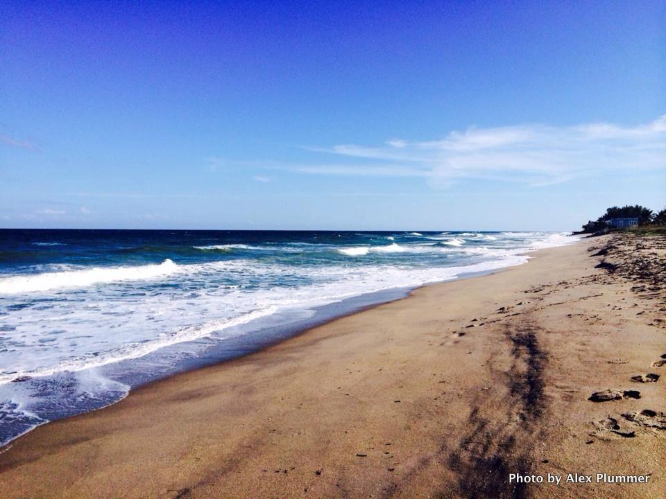 Tide Chart Horseshoe Beach Florida