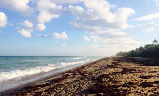 Florida is a beach lover's heaven.