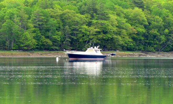 The early birds have certainly caught the worm this year, including this nice Sabre that waits on its mooring for new journeys.