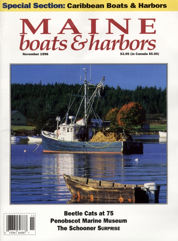 November 1996: Volume 9, Issue #42 Photo by Dean Abramson