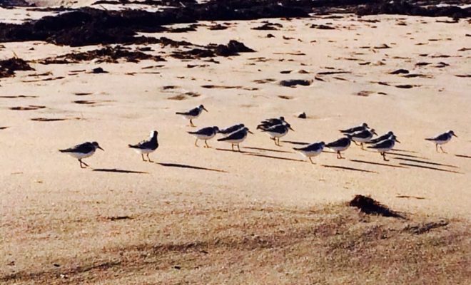 Fellow visitors at the Hobe Sound National Wildlife Refuge.