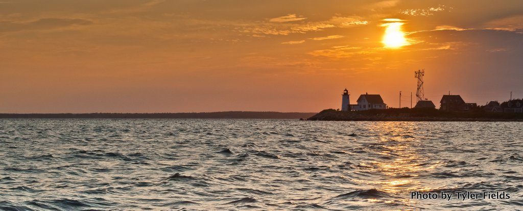 Wings Neck Tide Chart