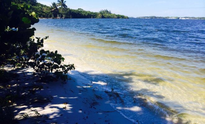 Martin County shoreline.