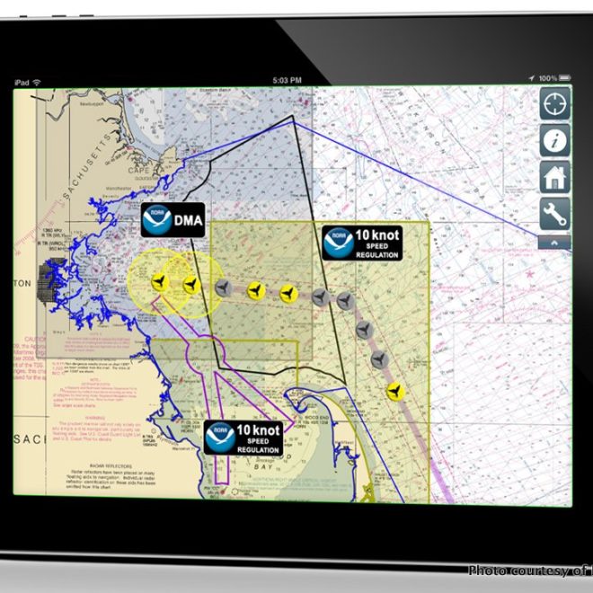Whale Alert is a fantastic new app for tracking, and protecting, North Atlantic Right Whales.