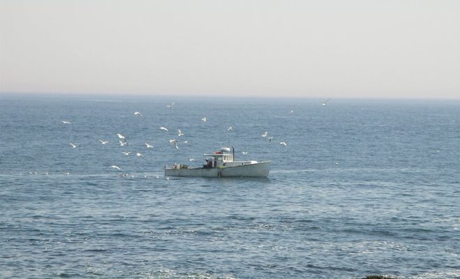 Rob Snyder, of the Island Institute, will present a talk on fisheries on May 16 in Bar Harbor.