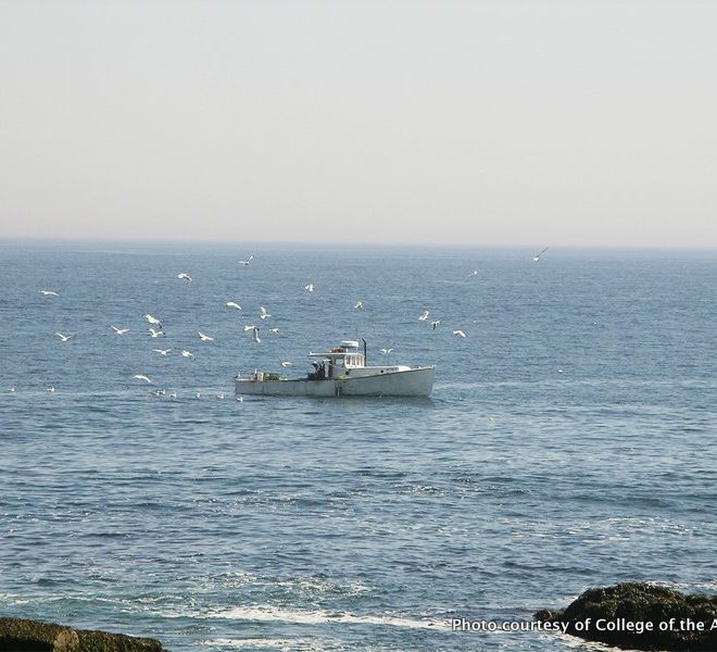 Rob Snyder, of the Island Institute, will present a talk on fisheries on May 16 in Bar Harbor.