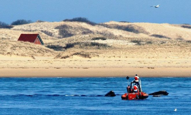 NOAA researchers off Race Point.