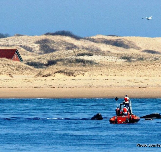 NOAA researchers off Race Point.