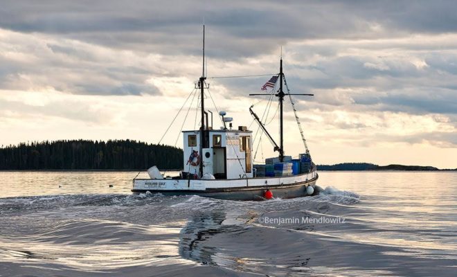 ROCKLAND GULF, a wooden vessel still actively working the waters of Penobscot Bay, Maine.