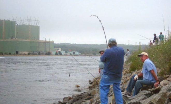 The Cape Cod Canal has been the best place in southern New England for keeper bass from shore.
