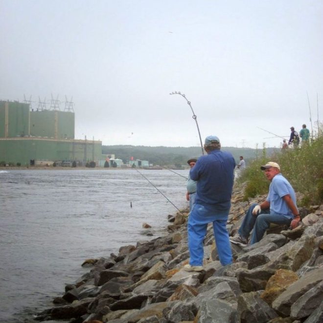 The Cape Cod Canal has been the best place in southern New England for keeper bass from shore.