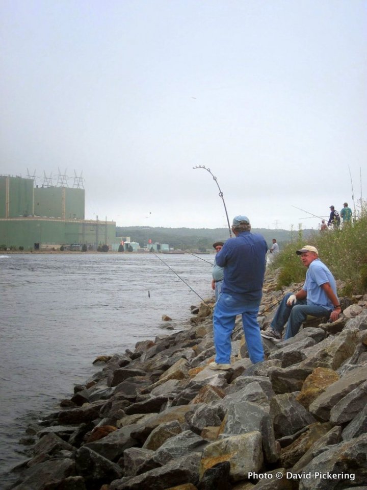 High Tides, Hot Fishing to Come at the Cape Cod Canal?