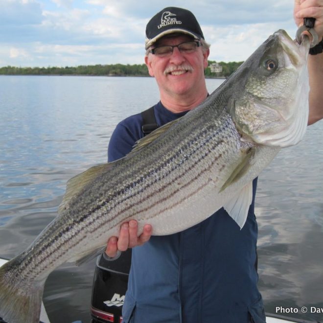 A wonderful way to end the week. Hopefully, it's a sign of future weekend fishing success.