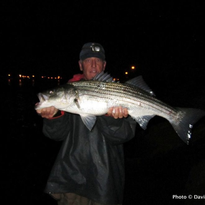 When darkness falls on the Cape Cod Canal, striper fishing lights up!