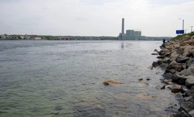 The number of fish — and fisherman — at the Cape Cod Canal is down so far this June.