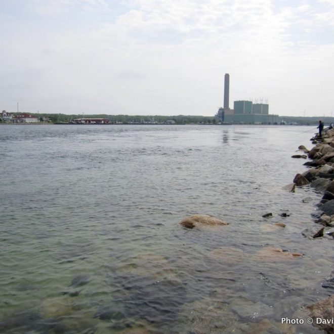The number of fish — and fisherman — at the Cape Cod Canal is down so far this June.