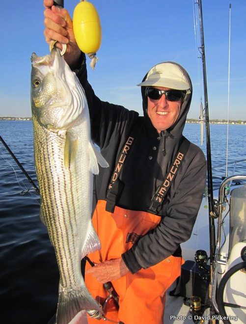 Fishing with my brother, Steve, I have hit the jackpot fishing in the bay in the past week.