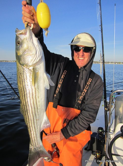 Fishing with my brother, Steve, I have hit the jackpot fishing in the bay in the past week.