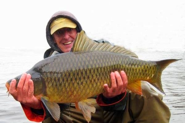 A nice 20-pound common carp I landed during Hurricane Sandy.