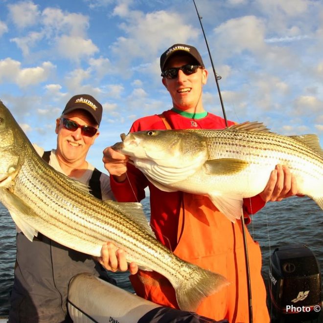 Two keepers from a haul of 80 stripers in an afternoon/evening  of fishing along the RI mainland shore.