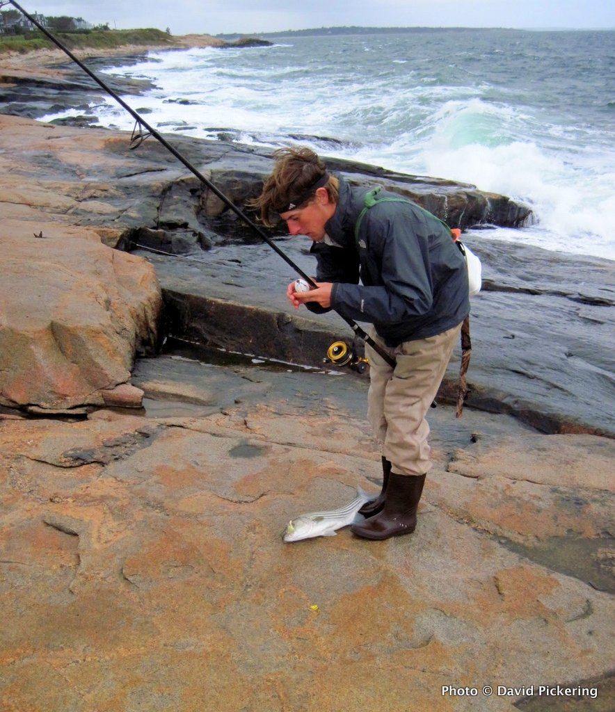 My son, Ben, lands a striper on a stormy day at the Narragansett shore.