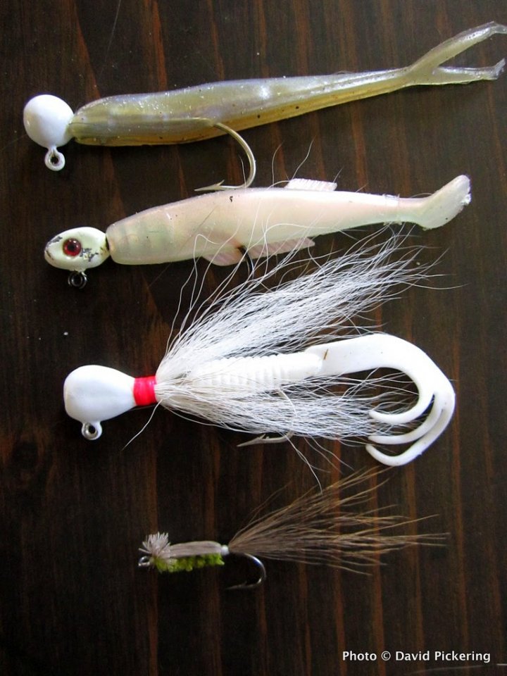 4 Must-Have Lures for Spring Striper Fishing