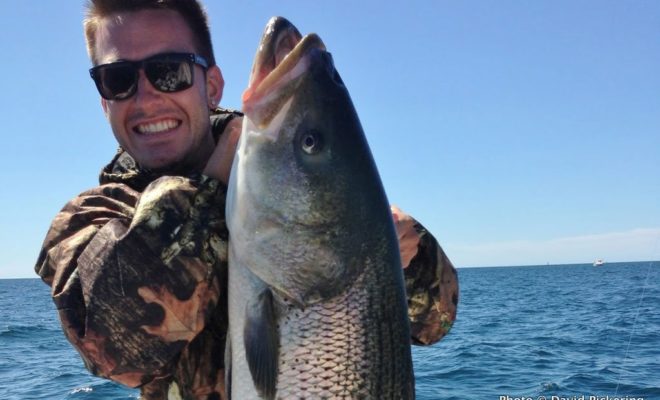 The smile on this fisherman's face says it all: This summer, those who fish from a boat are winning!