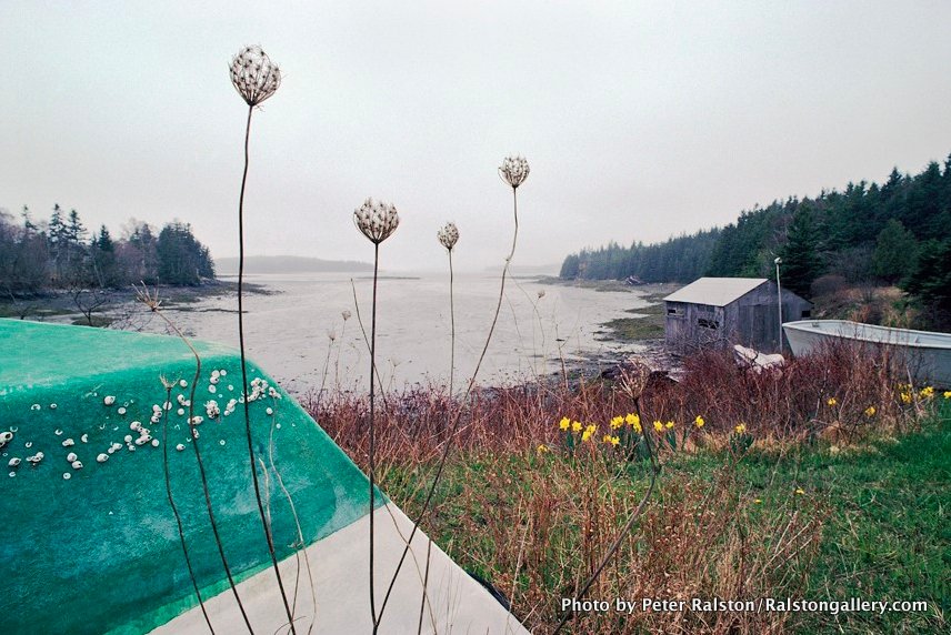 Spring | Sightings | limited edition 17" x 22"