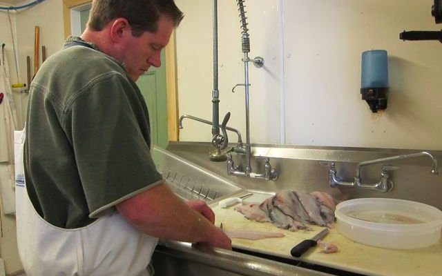 Jamie Johnson, manager at Jess's Market in Rockland, filets some fresh fish