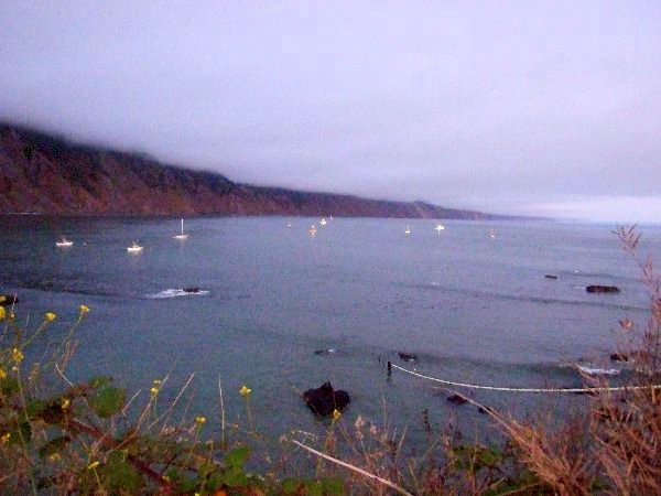 Tide Chart Shelter Cove Ca