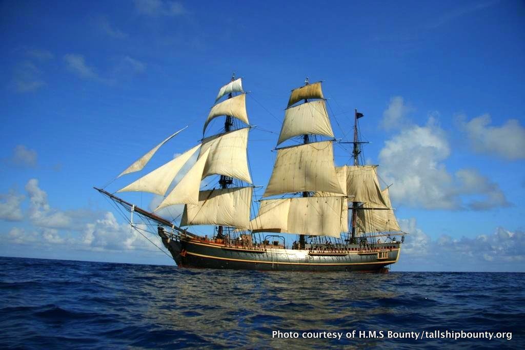 The tall ship Bounty will be open for tours at the city dock in Belfast.