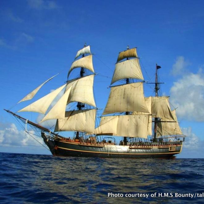 The tall ship Bounty will be open for tours at the city dock in Belfast.