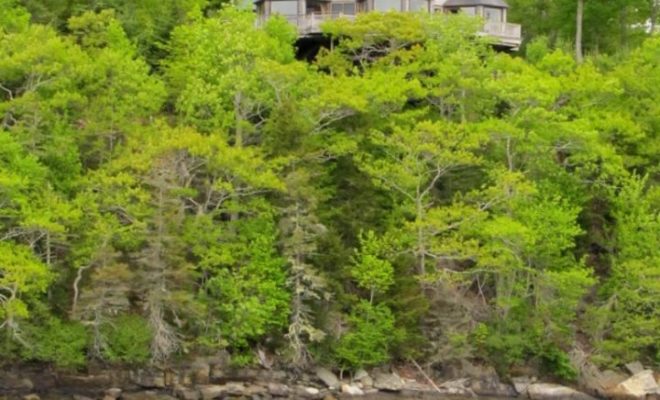 For people who love looking at cool houses, a boat ride on the Maine Coast can't be beat.