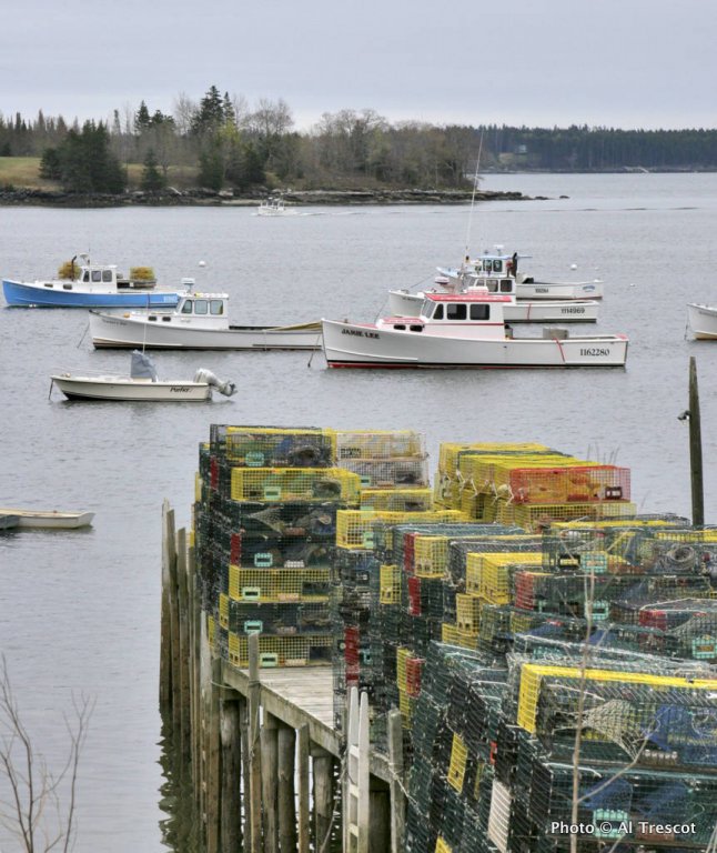 Friendship, ME Weather, Tides, and Visitor Guide US Harbors