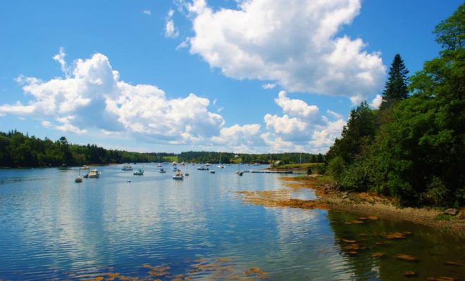 August afternoon in Pulpit Harbor.