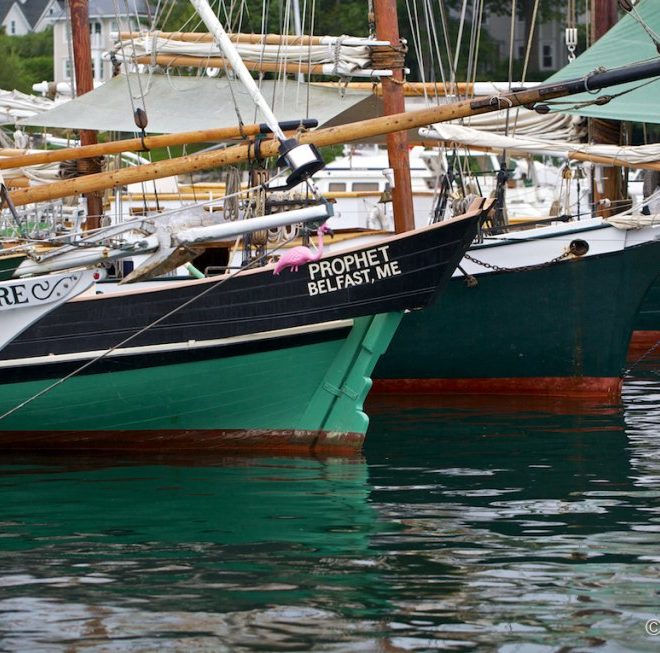 A trio of schooners (with a fourth in the background) tied up at the public landing in Camden for the Windjammer Festival.