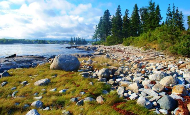 Late afternoon on the shores of Mosquito Harbor, between Port Clyde and Tenants Harbor.