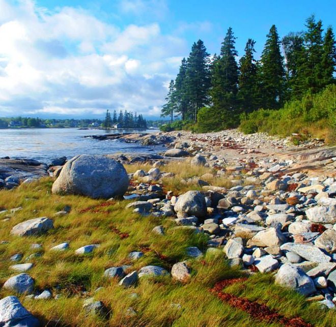 Late afternoon on the shores of Mosquito Harbor, between Port Clyde and Tenants Harbor.