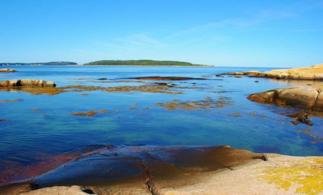 Another brilliant August afternoon on the Maine coast.