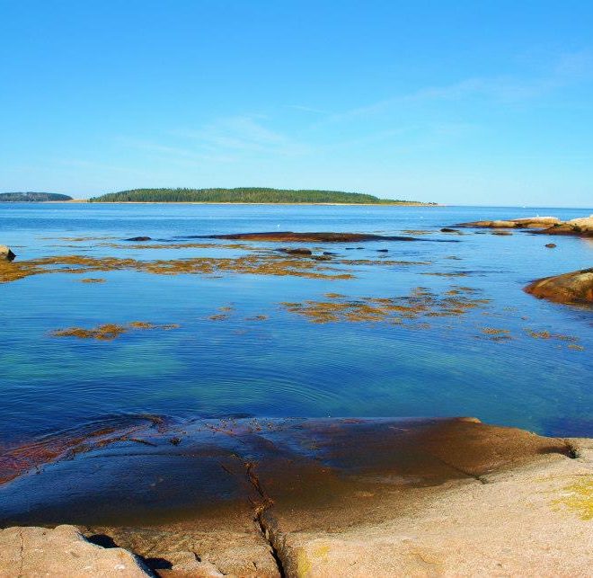 Another brilliant August afternoon on the Maine coast.