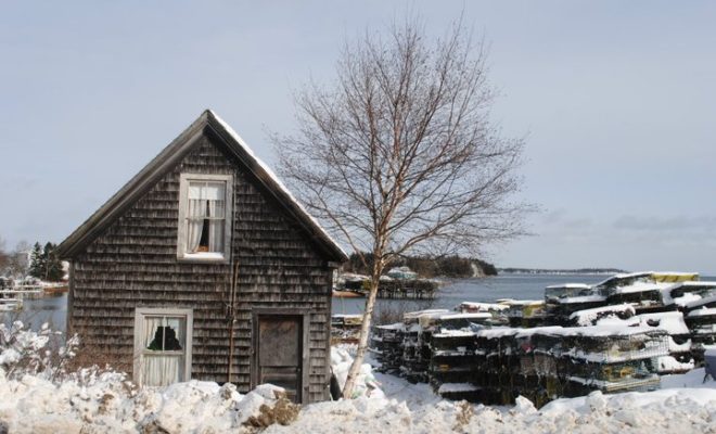 A refuge from winter on Great Wass Island.