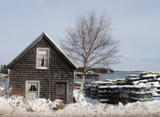 A refuge from winter on Great Wass Island.