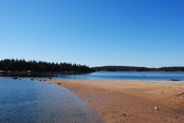 Naskeag Point, one of my favorite places on the Maine coast.