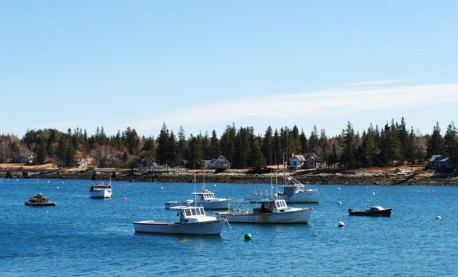 Tenants Harbor Maine Tide Chart